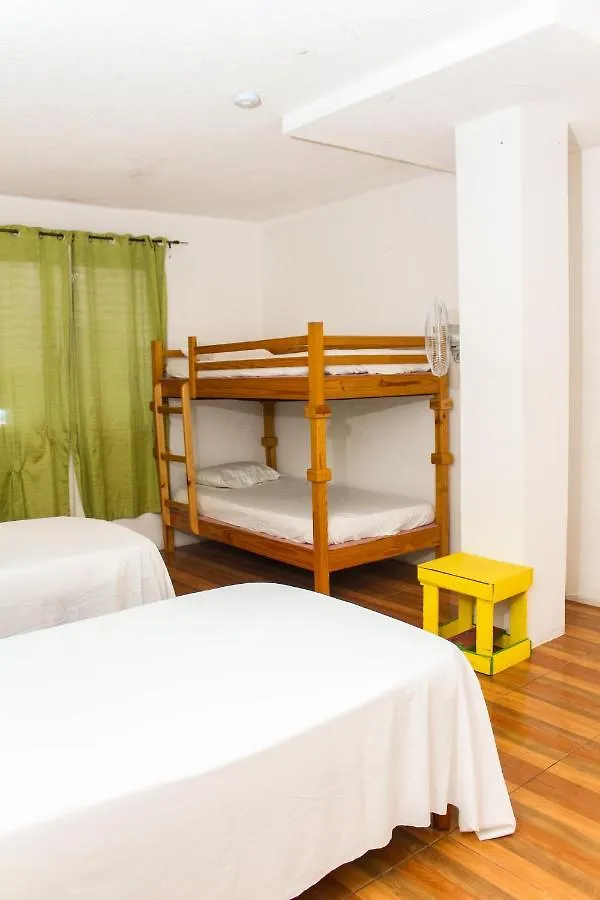 Reggae Hostel モンテゴ・ベイ