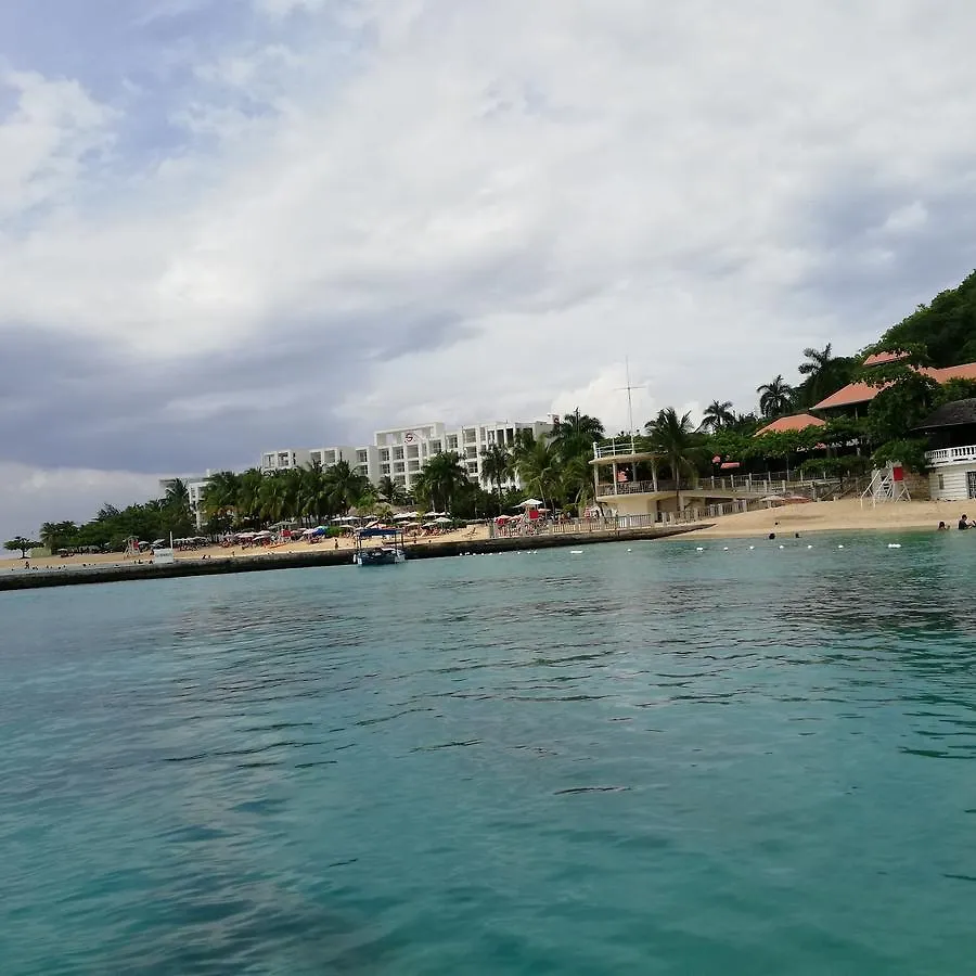 Reggae Hostel Montego Bay 0*,
