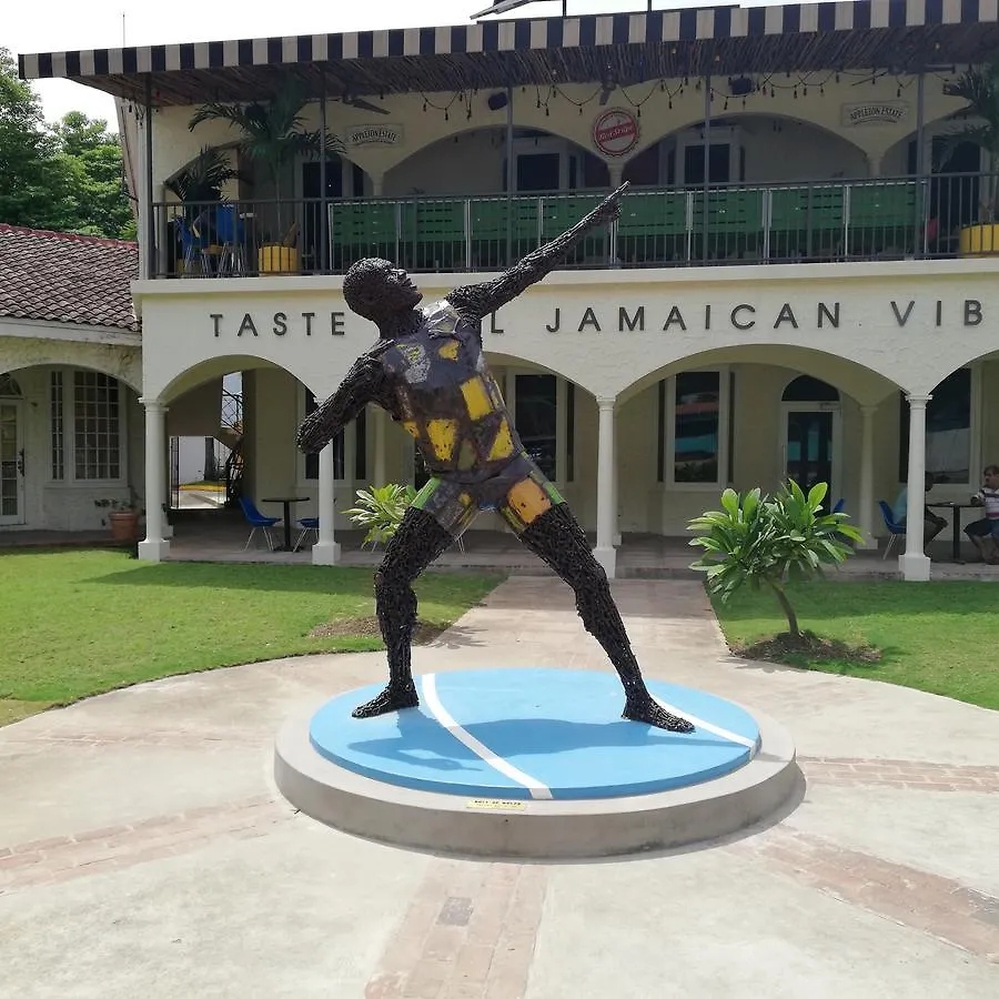 Reggae Hostel Montego Bay Jamaica